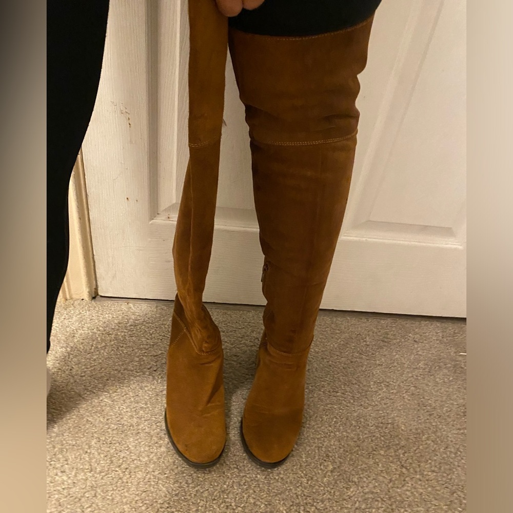 Suede Steve Madden tall boots